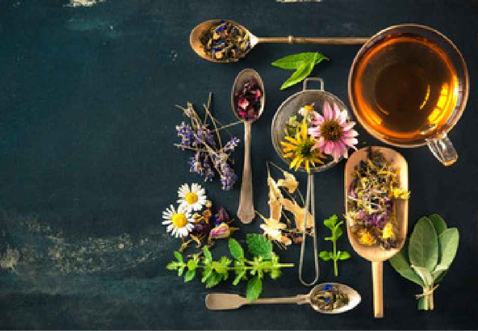 Herbal Medicine